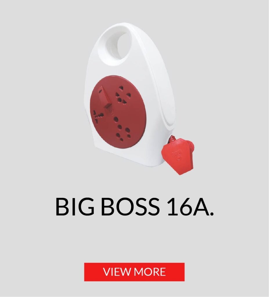 BIG BOSS 16A.